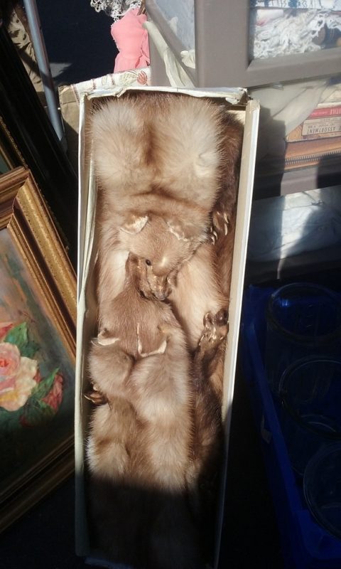 ... Including Boxes of Dead Foxes