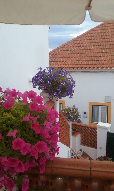 The Flower Filled Terrace Oozes Charm