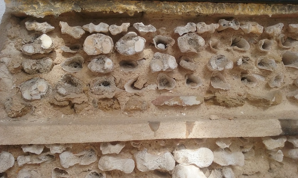 These Bones Were Embedded into the Walls