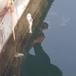 8a Miguel Is in His Element