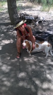 Wilson the Basset Hound