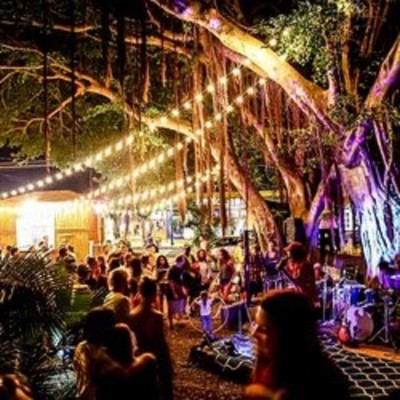 The Music Scene under the Banyan Tree in Wailuku