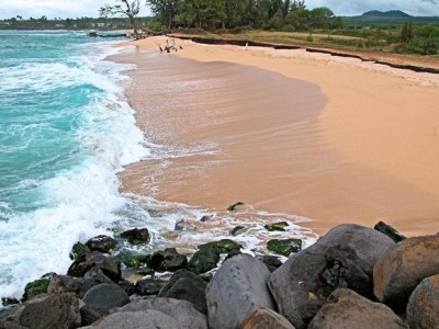 Aloha Maui