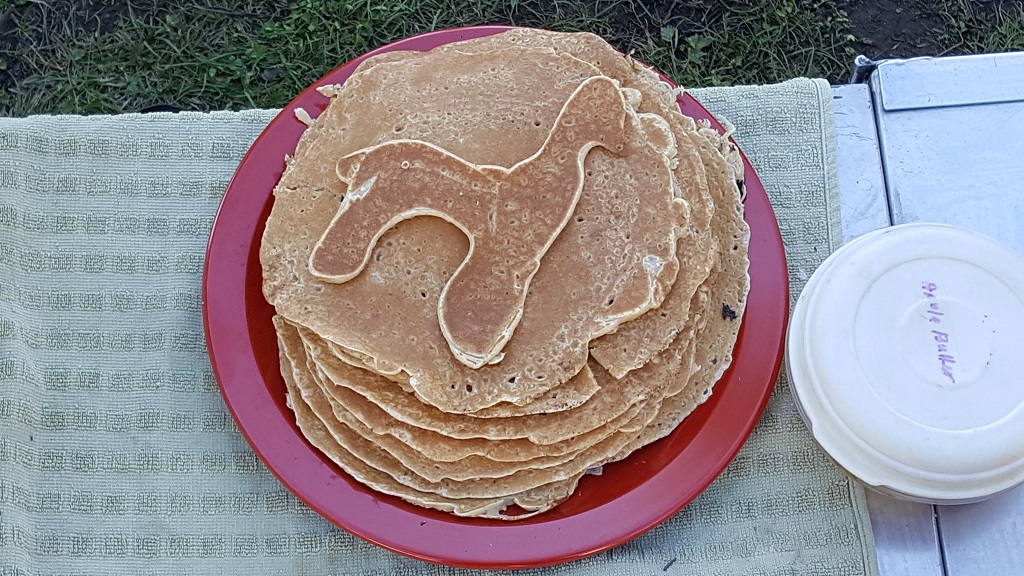 Swedish Pancakes Llama Shaped