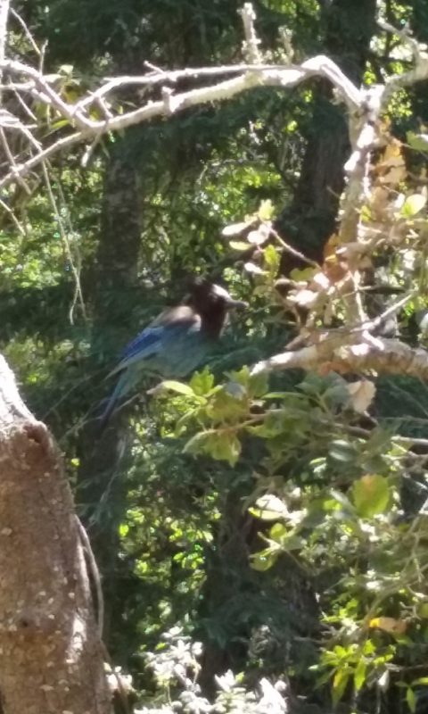The Handsome Stellar's Jay Kept Us Company for Lunch