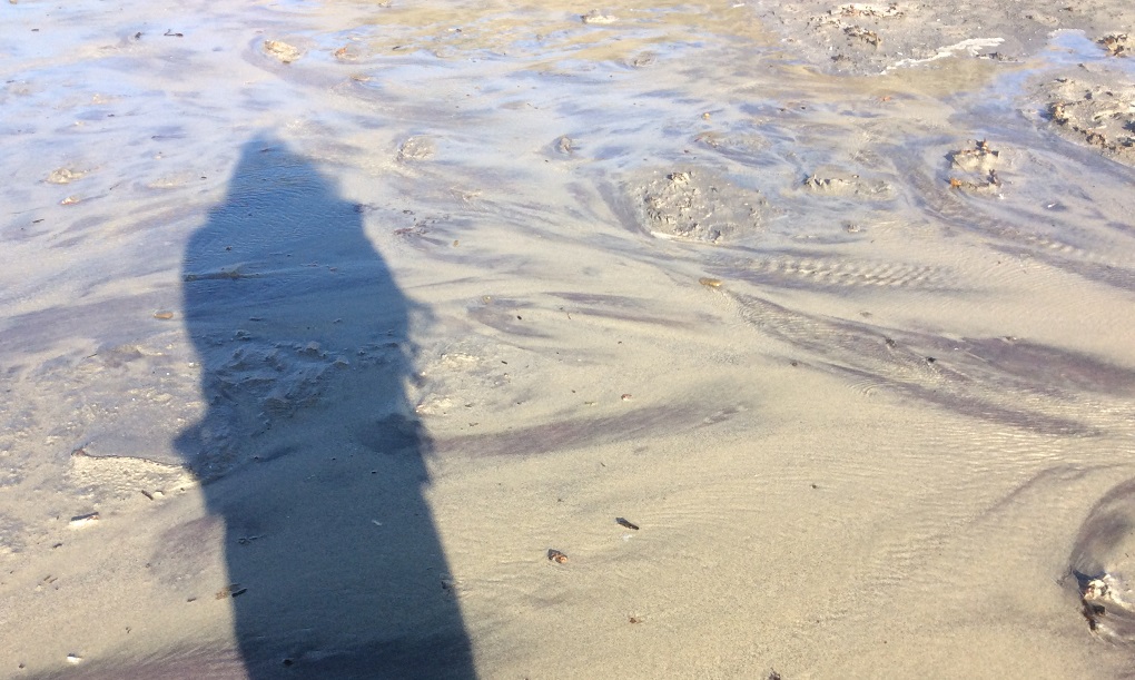 The Garnet in the Mountains Erodes and Coats the Beach with Purple Sand!