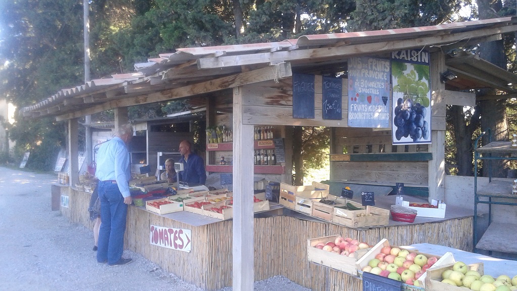 We Wanted to See if Provencal Melons Are as Superior as Reputed (YES!!)