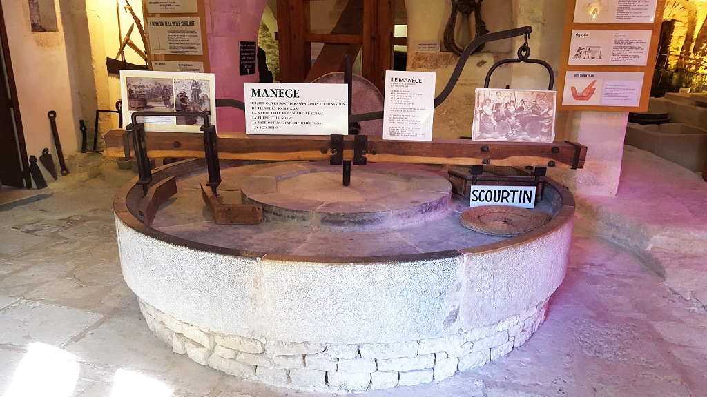 A Olive Oil Press from the Roman Times