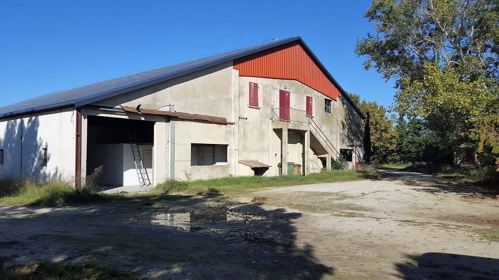 The Rice Museum that Has Not Been Functioning as Such in Many Moons