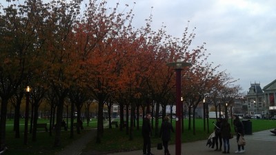 The Autumnal Trees on Fire Outside of the Van Gogh Museum