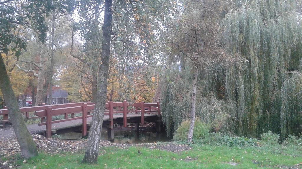Oosterpark Is Tranquil