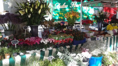 The Above Pictures Are Things We Would See Sold in an American Market