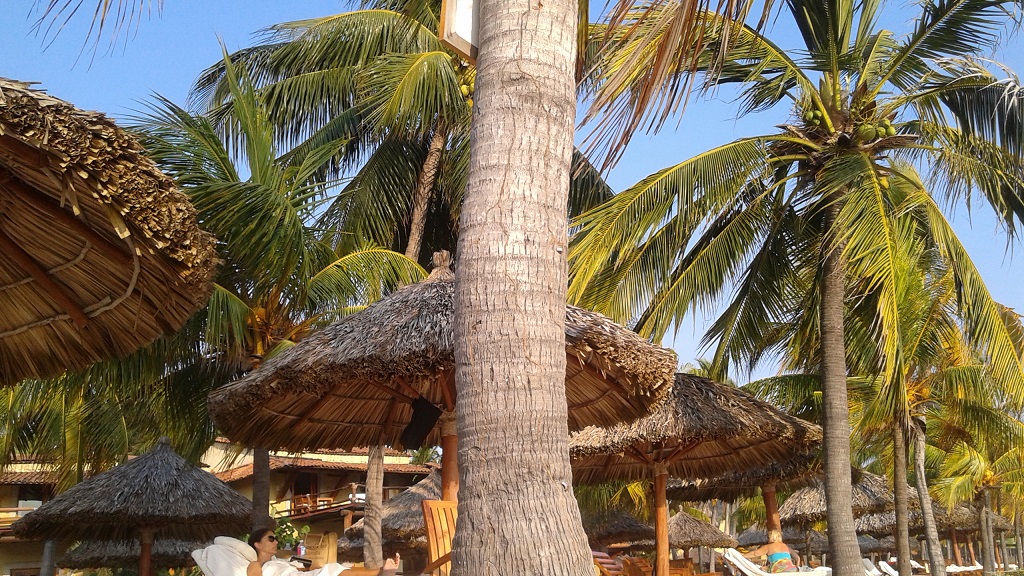 Zihuatanejo Photo Album Adventuring With Sherri