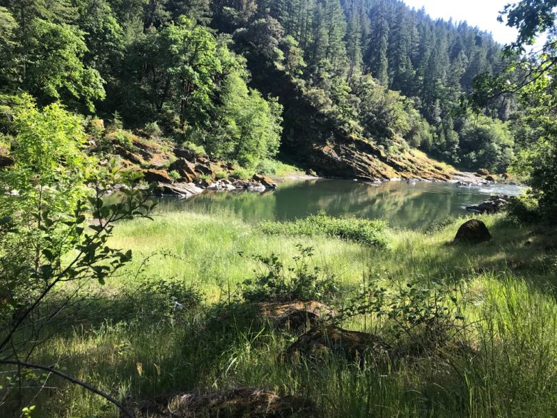 wild and scenic rogue river